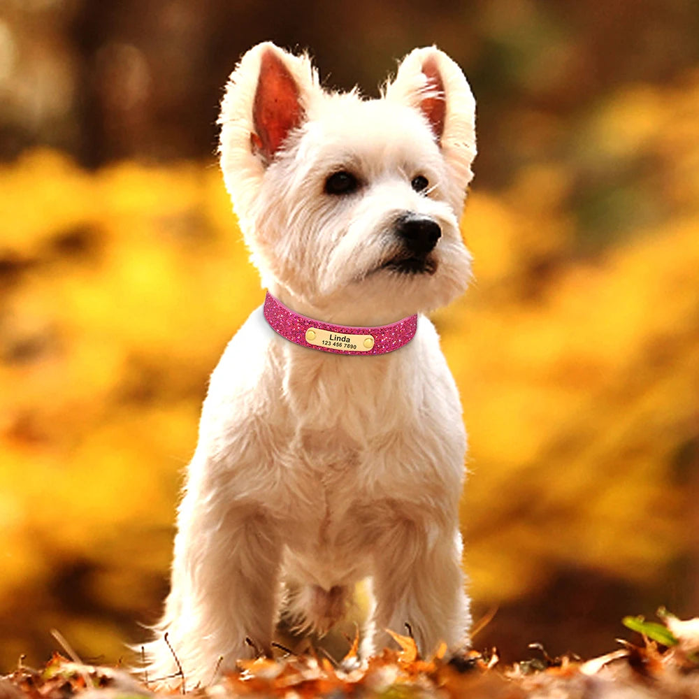 Personalized Dog Collar Bling Customized Anti-lost Pet ID Collar Adjustable Pet Necklace With Engraved Tag For Small Medium Dogs