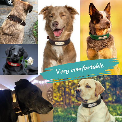 Custom Dog Collar Leather Dog Tag Collars Engraved Pet ID Tag Collars For Small Medium Large Dogs French Bulldog Pug Pitbull
