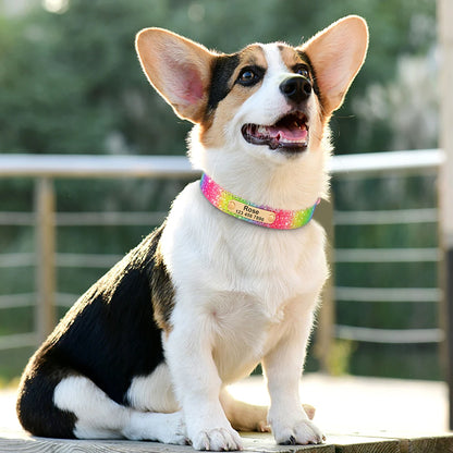 Personalized Dog Collar Bling Customized Anti-lost Pet ID Collar Adjustable Pet Necklace With Engraved Tag For Small Medium Dogs