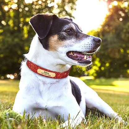 Personalized Dog Collar Bling Customized Anti-lost Pet ID Collar Adjustable Pet Necklace With Engraved Tag For Small Medium Dogs