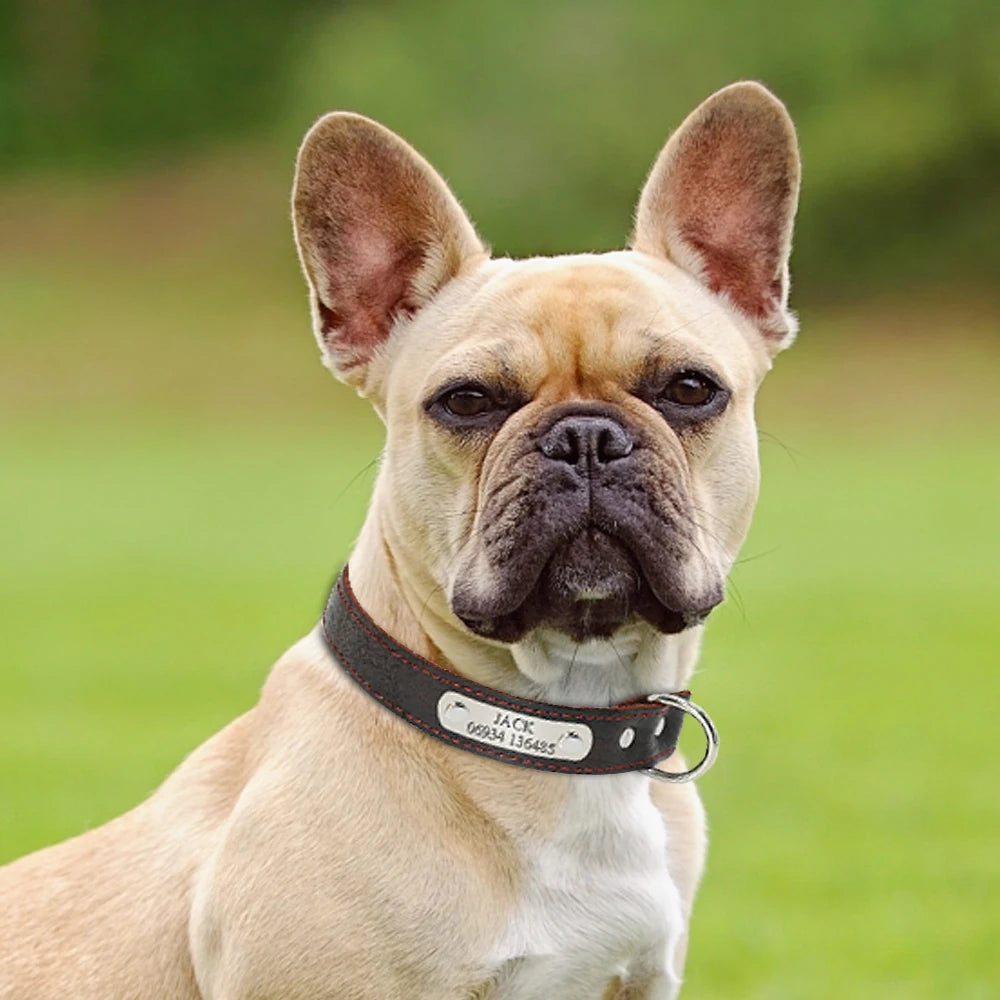 Custom Dog Collar Leather Dog Tag Collars Engraved Pet ID Tag Collars For Small Medium Large Dogs French Bulldog Pug Pitbull