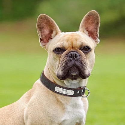 Custom Dog Collar Leather Dog Tag Collars Engraved Pet ID Tag Collars For Small Medium Large Dogs French Bulldog Pug Pitbull