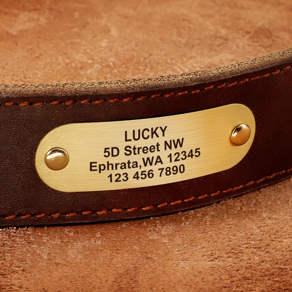 Custom Dog Collar Leather Dog Tag Collars Engraved Pet ID Tag Collars For Small Medium Large Dogs French Bulldog Pug Pitbull