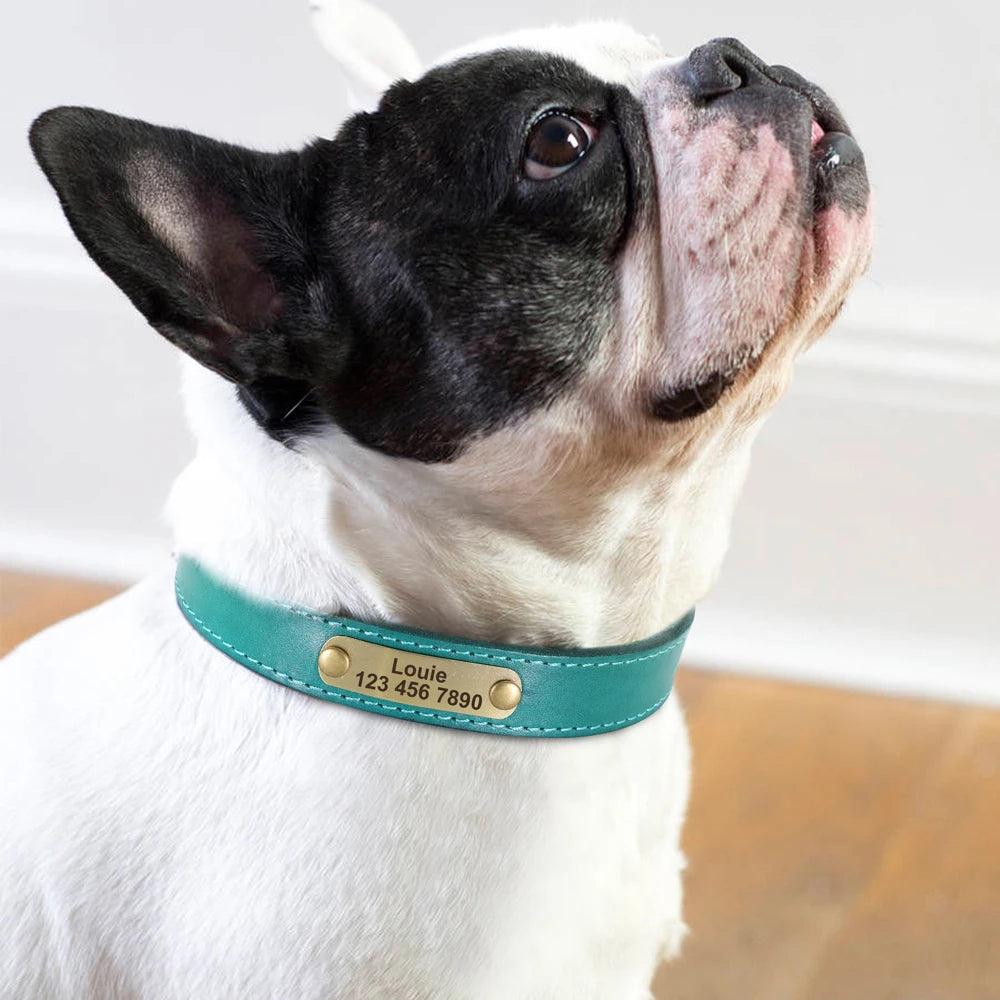 Custom Dog Collar Leather Dog Tag Collars Engraved Pet ID Tag Collars For Small Medium Large Dogs French Bulldog Pug Pitbull