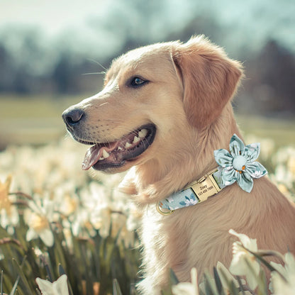 Persoalized Dog Collar Flower Printed Nylon Dog ID Collars Free Engraved Nameplate For Small Medium Large Dogs Chihuahua Pug