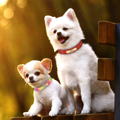 Personalized Dog Collar Bling Customized Anti-lost Pet ID Collar Adjustable Pet Necklace With Engraved Tag For Small Medium Dogs