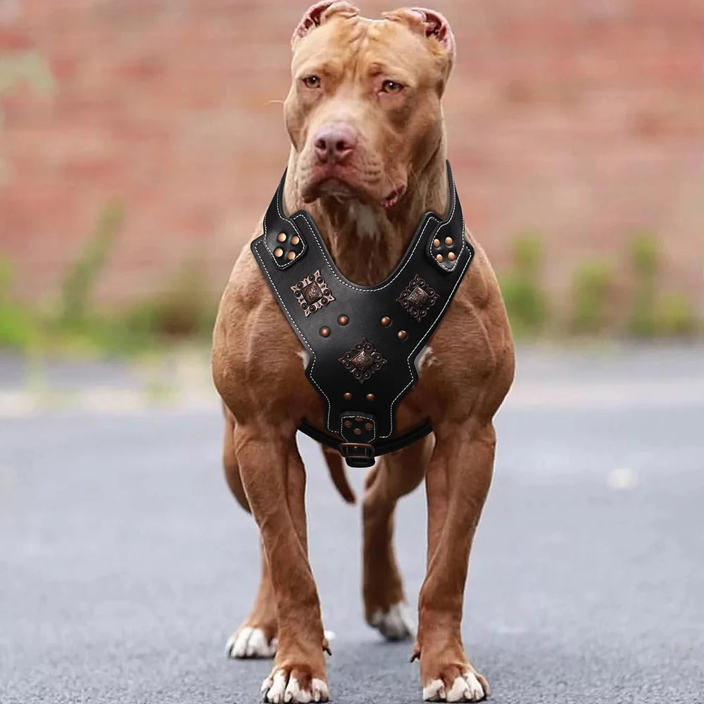 Real Leather Large Dog Harness Durable Pet Harness Genuine Leather Dog Vest Quick Control Harnesses for Big Dogs German Shepherd