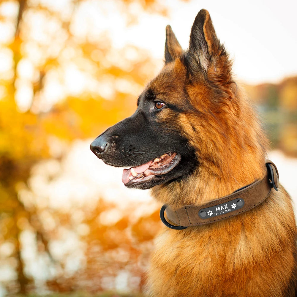 Custom Leather Dog Collar Personalized Collars with Free Engraved Nameplate for Small Medium Large Dogs Pitbull Labrador XS-XXL