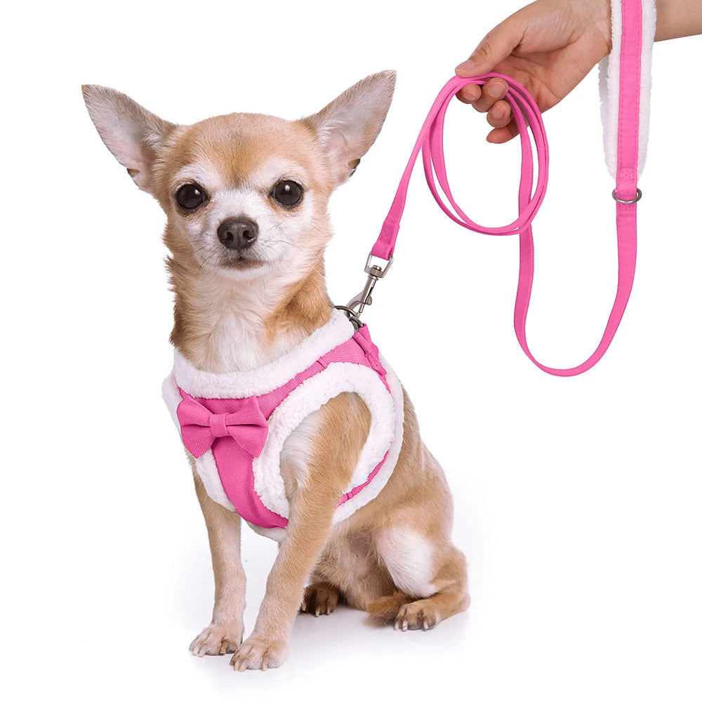 Winter Warm Dog Harness Leash Set Soft Fleece Pet Harness Vest With Cute Bowtie for Small Medium Dogs Chihuahua Walking Belt