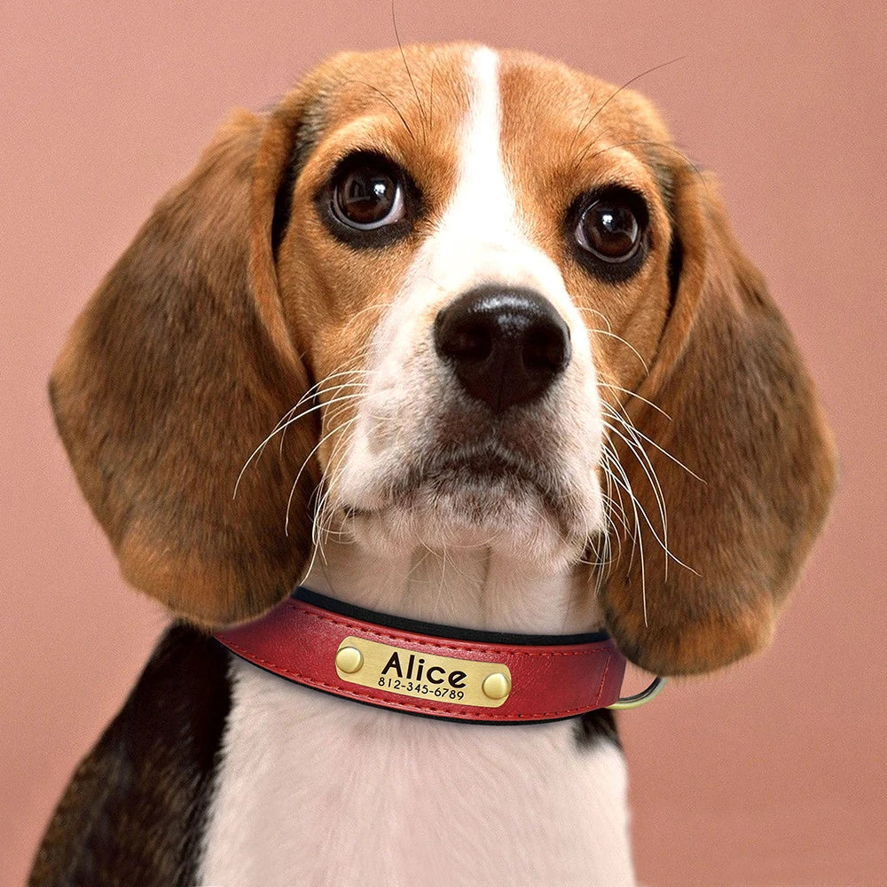 Custom Leather Dog Collar Personalized Collars with Free Engraved Nameplate for Small Medium Large Dogs Pitbull Labrador XS-XXL