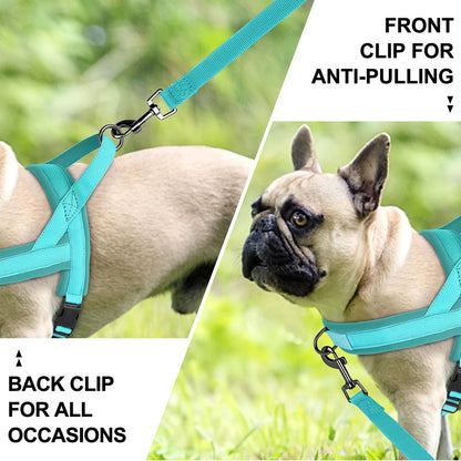 Nylon Padded Dog Harness Vest Adjustable Pet Cat Vest Soft Outdoor No Pull French Bulldog Chihuahua Pet Puppy Harness Vest Perro