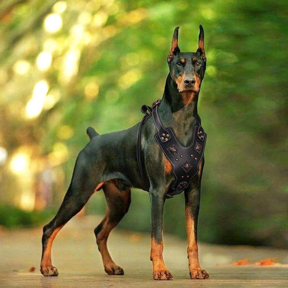 Real Leather Large Dog Harness Durable Pet Harness Genuine Leather Dog Vest Quick Control Harnesses for Big Dogs German Shepherd