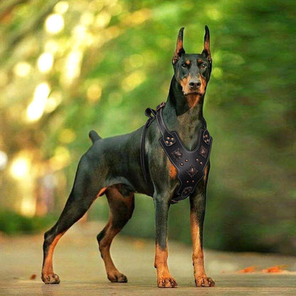 Real Leather Large Dog Harness Durable Pet Harness Genuine Leather Dog Vest Quick Control Harnesses for Big Dogs German Shepherd