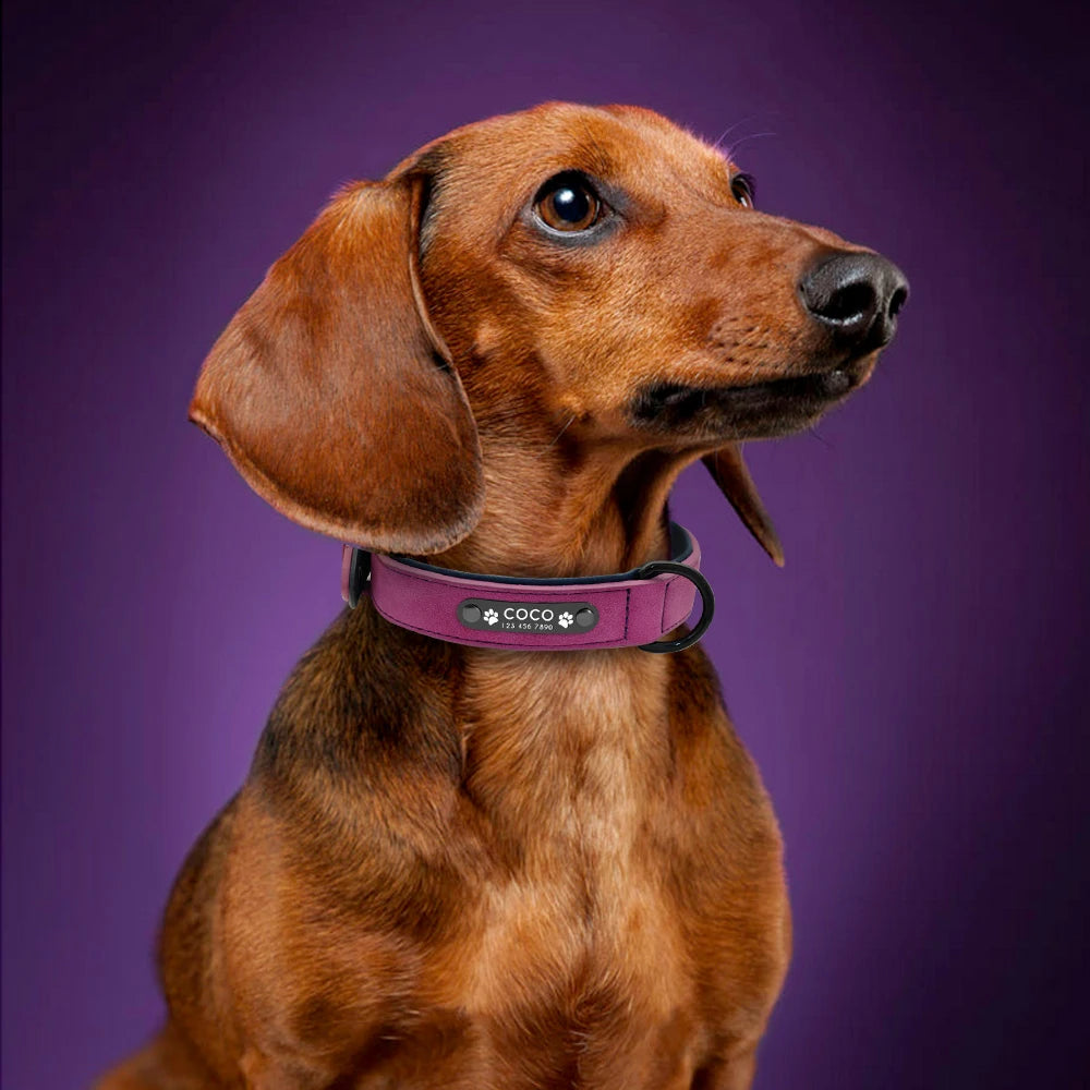 Custom Leather Dog Collar Personalized Collars with Free Engraved Nameplate for Small Medium Large Dogs Pitbull Labrador XS-XXL