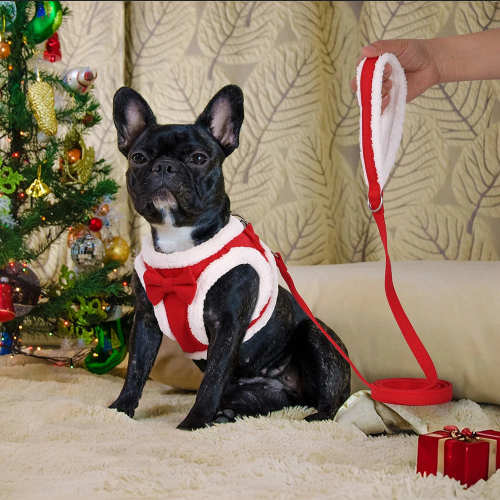 Winter Warm Dog Harness Leash Set Soft Fleece Pet Harness Vest With Cute Bowtie for Small Medium Dogs Chihuahua Walking Belt