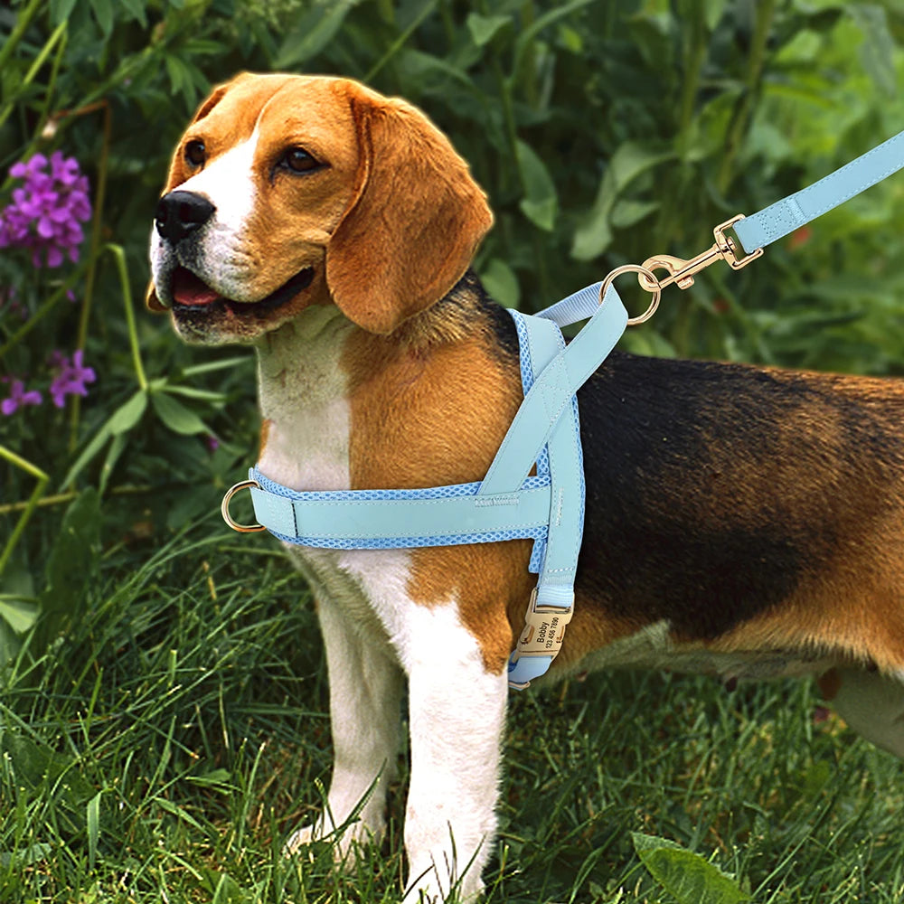 Personalized Large Dog Harness Adjustable Engraved Mesh Leather Pet Harness Vest For Small Medium Large Dogs Pet Supplies XS-XL