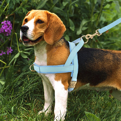 Personalized Large Dog Harness Adjustable Engraved Mesh Leather Pet Harness Vest For Small Medium Large Dogs Pet Supplies XS-XL