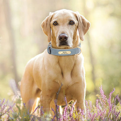 Custom Leather Dog Collar Personalized Collars with Free Engraved Nameplate for Small Medium Large Dogs Pitbull Labrador XS-XXL