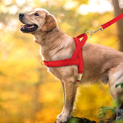 Personalized Large Dog Harness Adjustable Engraved Mesh Leather Pet Harness Vest For Small Medium Large Dogs Pet Supplies XS-XL