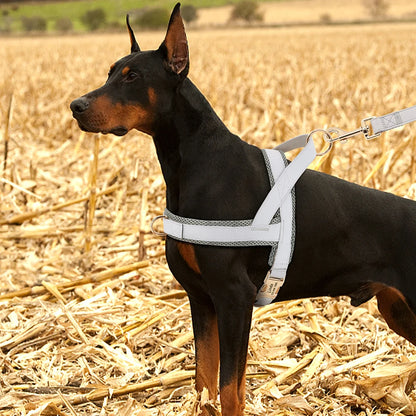 Personalized Large Dog Harness Adjustable Engraved Mesh Leather Pet Harness Vest For Small Medium Large Dogs Pet Supplies XS-XL