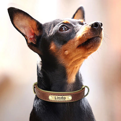 Custom Leather Dog Collar Personalized Collars with Free Engraved Nameplate for Small Medium Large Dogs Pitbull Labrador XS-XXL