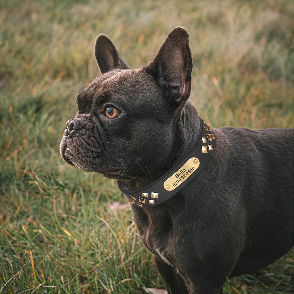 Personalized Genuine Leather Dog Collar Cool Spiked Custom Dog Collars Free Engraved Pet Necklace for Small Medium Dogs Pug