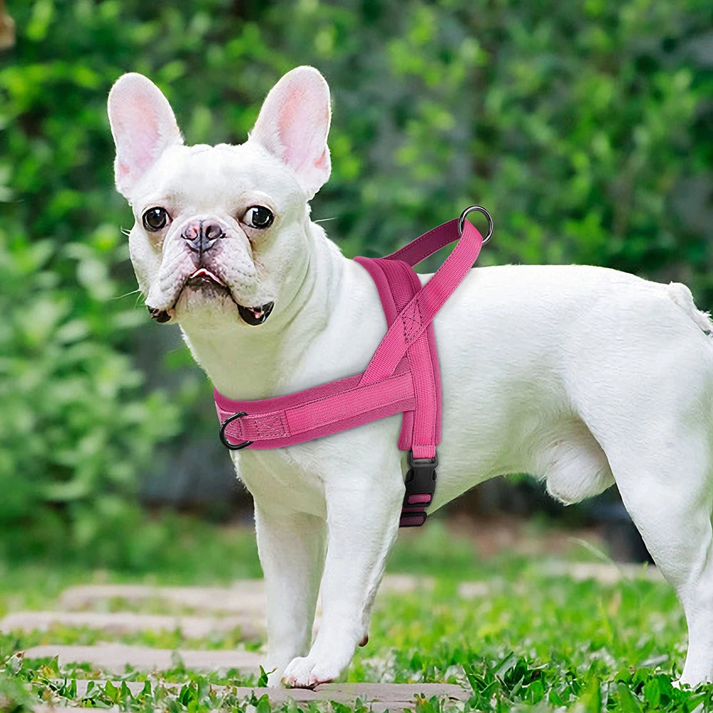 Nylon Padded Dog Harness Vest Adjustable Pet Cat Vest Soft Outdoor No Pull French Bulldog Chihuahua Pet Puppy Harness Vest Perro