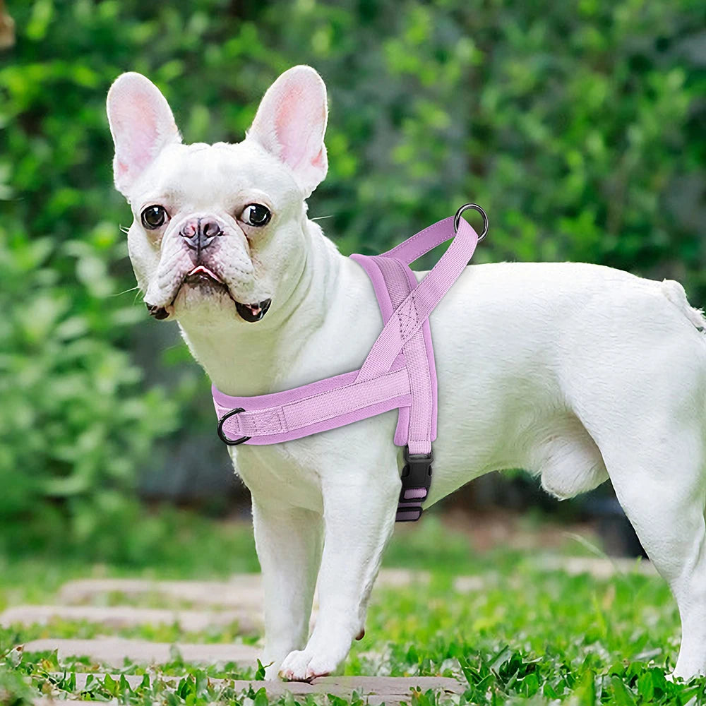 Nylon Padded Dog Harness Vest Adjustable Pet Cat Vest Soft Outdoor No Pull French Bulldog Chihuahua Pet Puppy Harness Vest Perro
