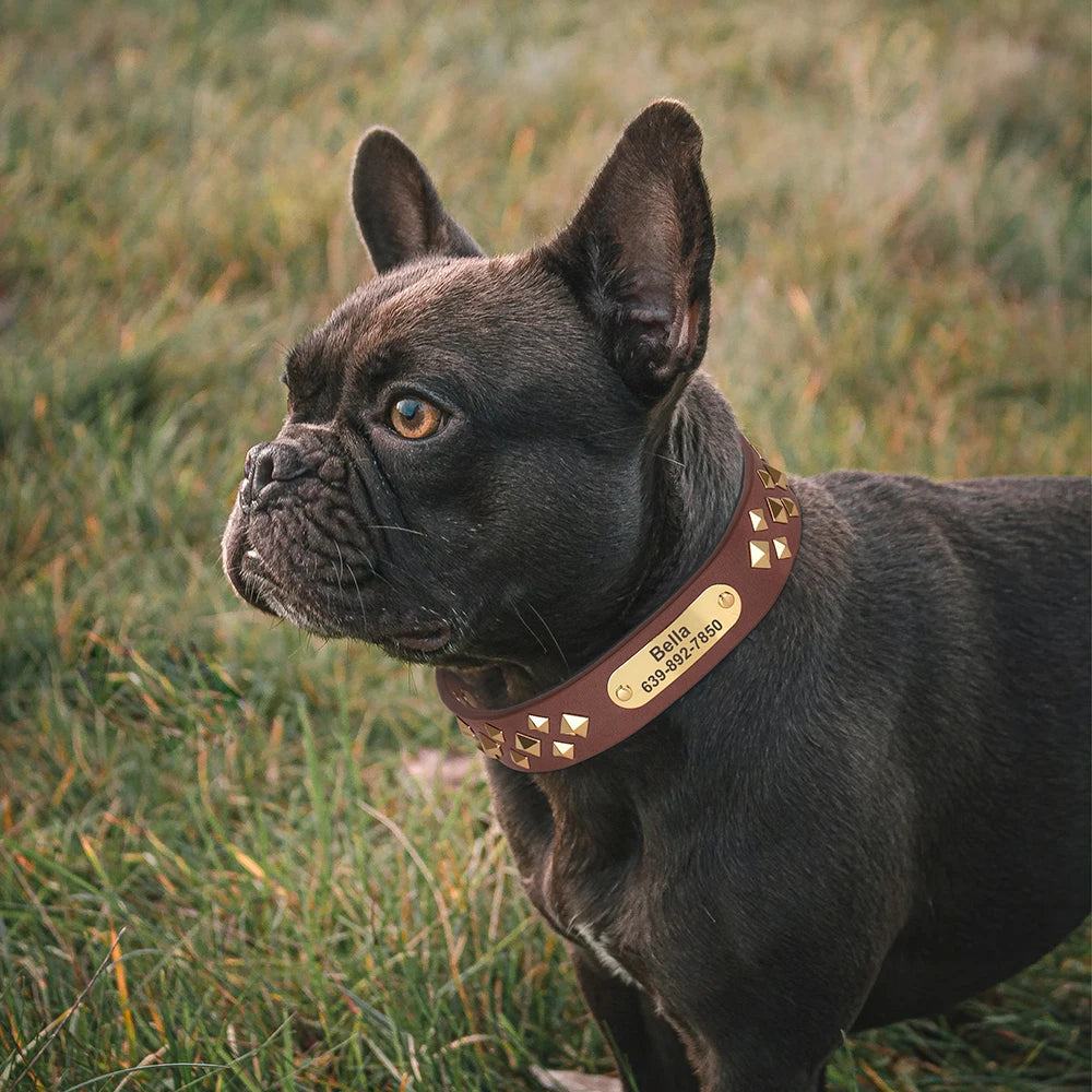 Personalized Genuine Leather Dog Collar Cool Spiked Custom Dog Collars Free Engraved Pet Necklace for Small Medium Dogs Pug