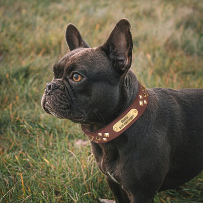 Personalized Genuine Leather Dog Collar Cool Spiked Custom Dog Collars Free Engraved Pet Necklace for Small Medium Dogs Pug
