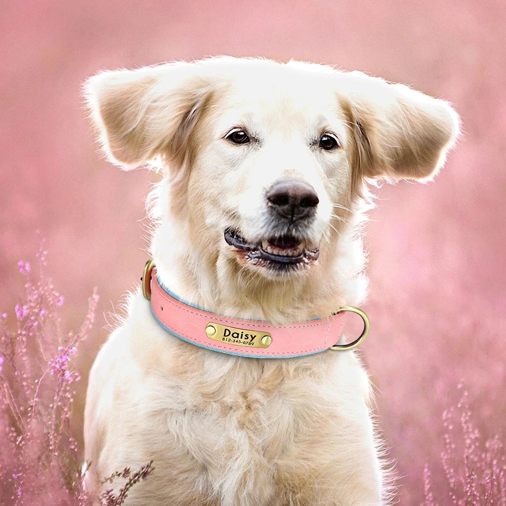 Custom Leather Dog Collar Personalized Collars with Free Engraved Nameplate for Small Medium Large Dogs Pitbull Labrador XS-XXL