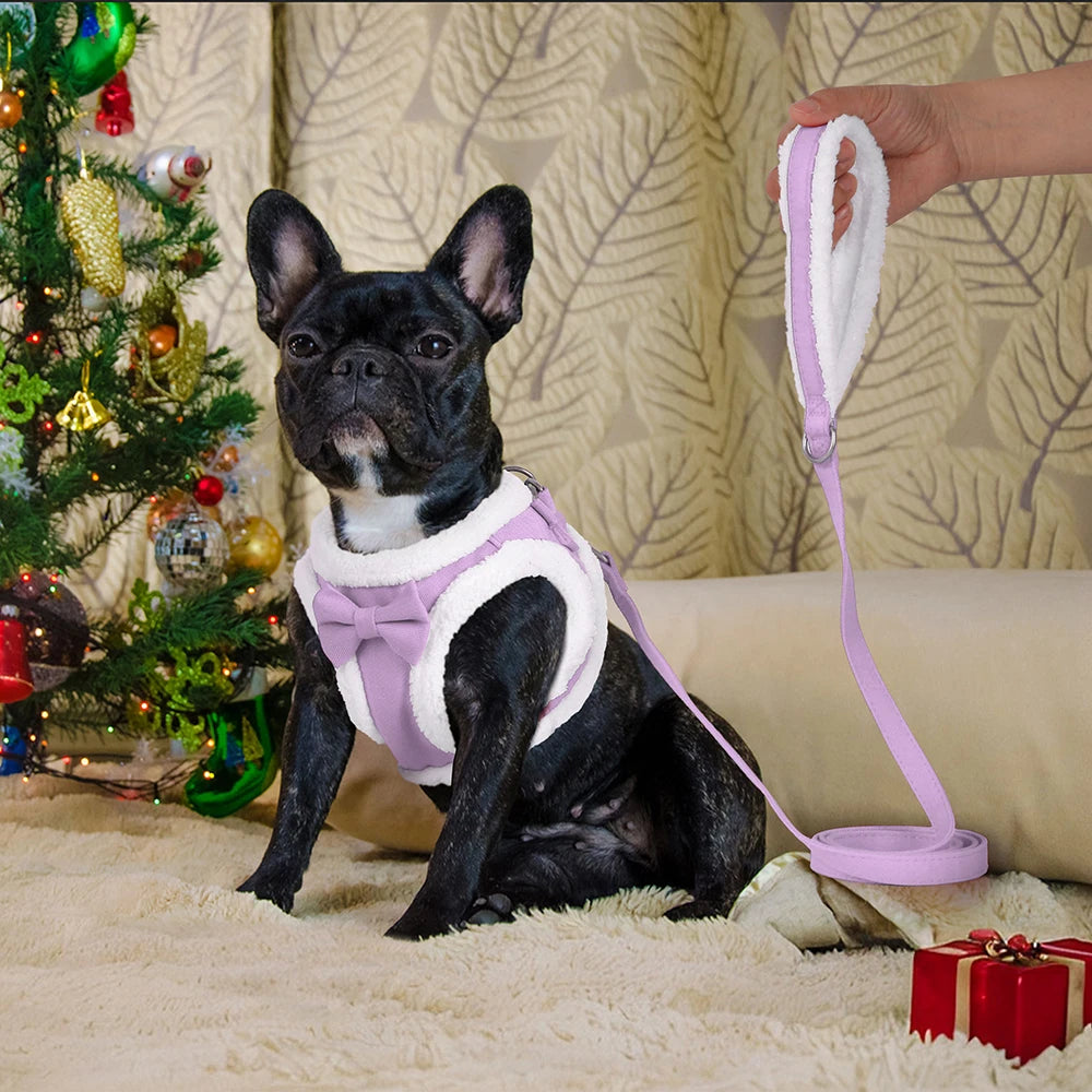 Winter Warm Dog Harness Leash Set Soft Fleece Pet Harness Vest With Cute Bowtie for Small Medium Dogs Chihuahua Walking Belt