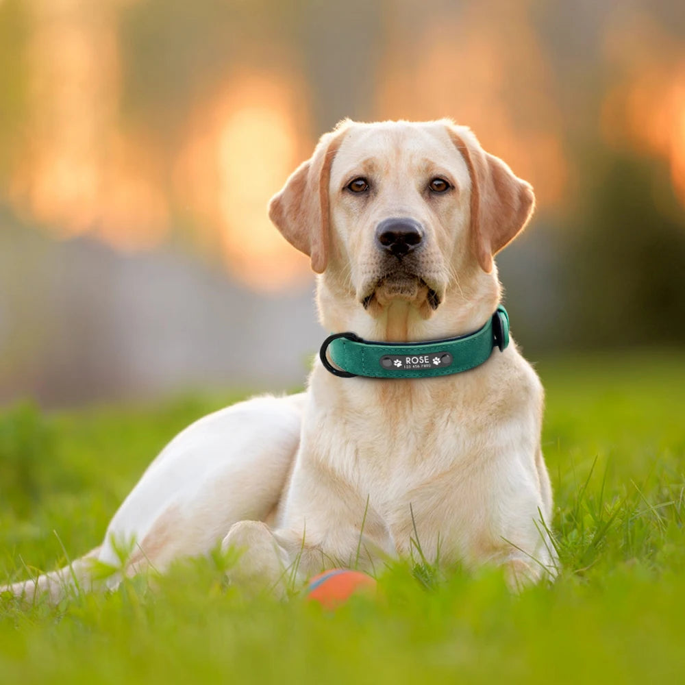 Custom Leather Dog Collar Personalized Collars with Free Engraved Nameplate for Small Medium Large Dogs Pitbull Labrador XS-XXL