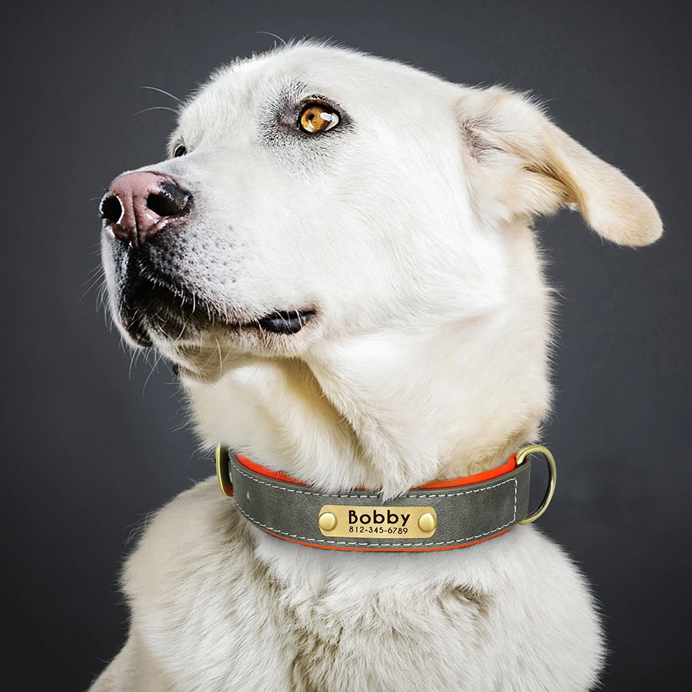 Custom Leather Dog Collar Personalized Collars with Free Engraved Nameplate for Small Medium Large Dogs Pitbull Labrador XS-XXL