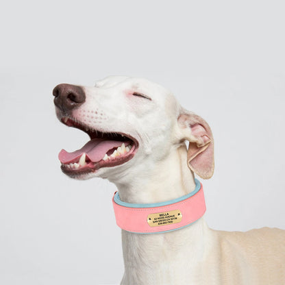Customized Engraved Dog Collar Wide Leather Dog Collar Large Soft Padded Pet Dog Collars For Medium Large Dogs Free Engraving
